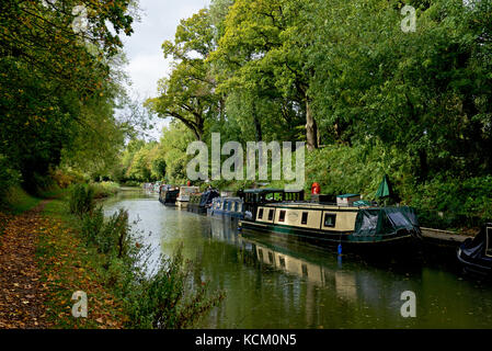 Narrowboats ormeggiato a Pewsey Wharf, Kennet & Avon Canal, Wiltshire, Inghilterra, Regno Unito Foto Stock