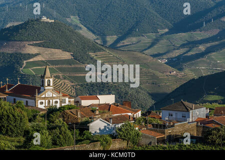 Provesende, Valle del Douro, Portogallo Foto Stock