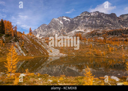 Montare Monica al di sopra di un tarn e cadere i larici a Monica Prati, Purcell montagne, British Columbia, Canada. Foto Stock