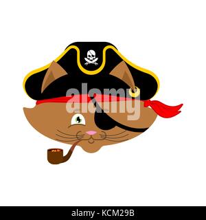 Gatto pirata. home pet da buccaneer. filibuster hat e tubo di fumo. illustrazione vettoriale. Illustrazione Vettoriale