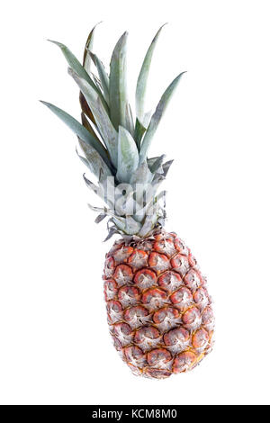 Mature ananas intero isolato su sfondo bianco Foto Stock