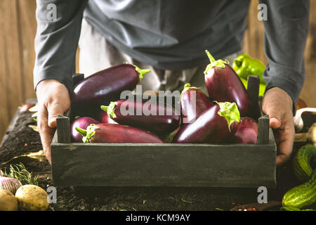 Verdure organiche. Gli agricoltori mani di fresco con ortaggi raccolti. fresche biologiche impianto uovo. Foto Stock