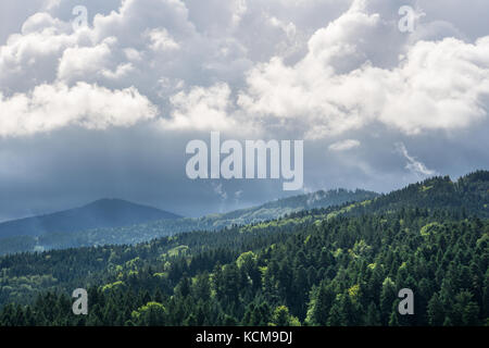 Nuvole incandescente come sun si rompe attraverso e risplende sulla foresta nera di alberi di conifere Foto Stock