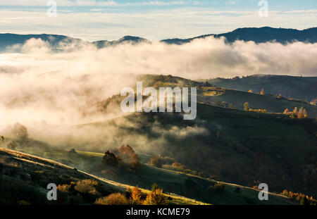 Una fitta nebbia oltre la collina di rotolamento in autunno. incredibile campagna montuosa paesaggio di sunrise Foto Stock