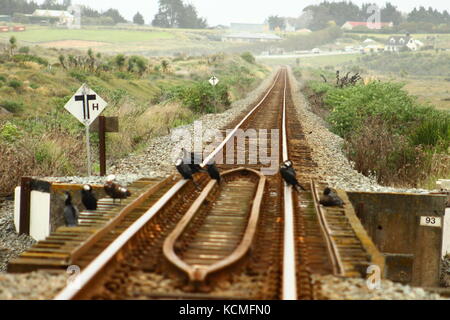 Stare sulle piste Foto Stock