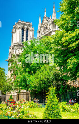 La facciata orientale di Notre Dame con il suo piccolo giardino a Parigi, Francia Foto Stock