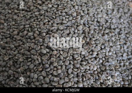 Concetto thai i chicchi di caffè , texture di sfondo , chicco di caffè per la luce arrosto, medie arrosto, scuro arrosto , caffè da agricoltura biologica Foto Stock