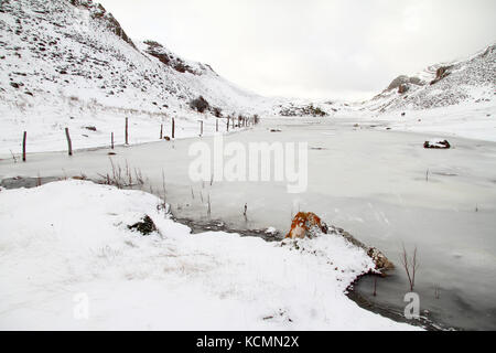 Lago ghiacciato in inverno, lago de babia, leon, Spagna. Foto Stock