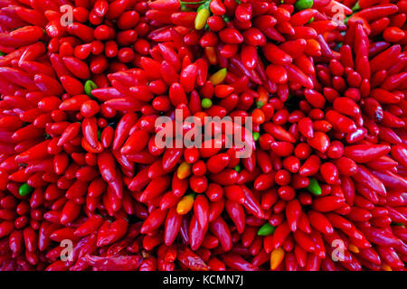 Peperoncino rosso il colore di sfondo immagine Foto Stock