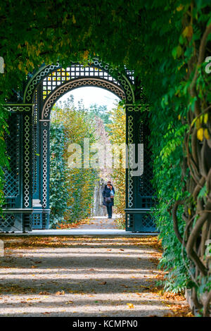 Vienna, Austria, 14 ottobre 2016: Palazzo di Schonbrunn a vienna, giardino romantico passerella formando un tunnel di verde di acacie a Vienna, in Austria Foto Stock