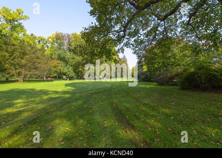 giardino termale e arboreto presso il Lichtentaler Allee di Baden-Baden, Foresta Nera, Germania Foto Stock