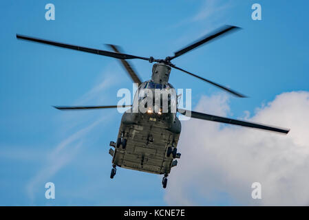 RAF Chinook HC4 display in elicottero al Dunsfold ali e le ruote, Airshow Regno Unito il 26 agosto 2017. Foto Stock