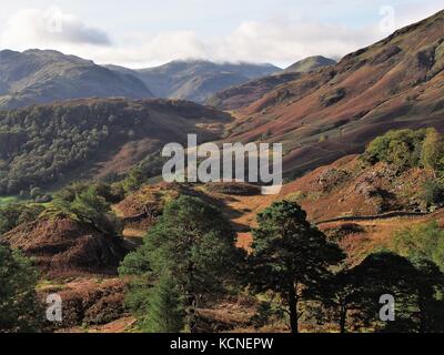 Vista verso la scafells, castello roccioso, parco nazionale del distretto dei laghi, cumbria, Regno Unito Foto Stock