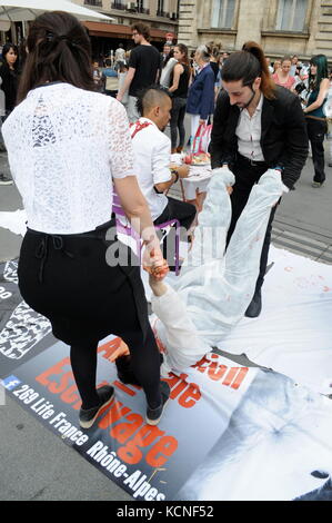 Lione, Francia l269 animali attivisti dei diritti di protestare contro le violenze fatte agli animali e a chiedere per i macelli per la chiusura di Lione, stock photo l269 un Foto Stock