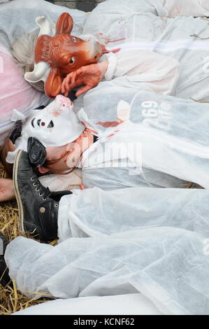 Lione, Francia l269 animali attivisti dei diritti di protestare contro le violenze fatte agli animali e a chiedere per i macelli per la chiusura di Lione, stock photo l269 un Foto Stock