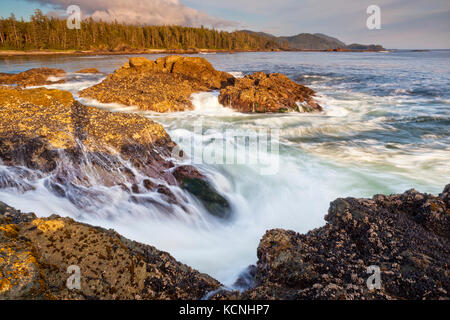 Wild West Coast del Nord dell'isola di Vancouver vicino a cape scott parco provinciale, British Columbia, Canada, onde che si infrangono lungo il litorale fotografato in una lunga esposizione Foto Stock