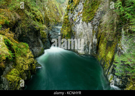 Inglese River Falls Provincial Park, l'isola di Vancouver, BC, Canada Foto Stock
