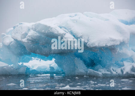 La neve cade su un iceberg a terra vicino a pleneau island con le sue tante sfumature di blu dà l impressione di essere dentro una snowglobe, pleneau island, penisola antartica Foto Stock