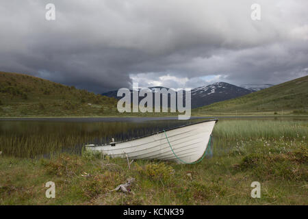 Barca nella parte anteriore di un fiume in jotunheimen Norvegia Foto Stock