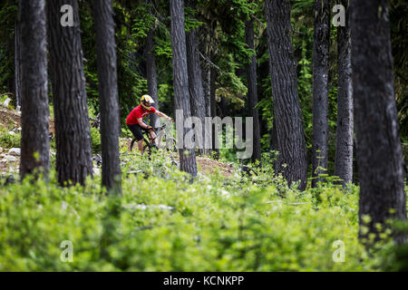 Un mountain bike attraversa una sezione di trekking mentre si cavalcano il Green Mile al Mt. Washington. La Comox Valley, Vancouver Island, British Columbia, Canada. Foto Stock