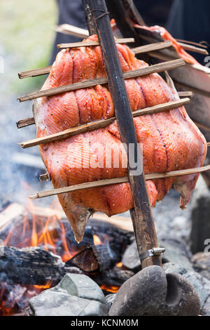 Il salmone cucinato prima nazione stile sopra un fuoco, cola in carboni, kyuquot, isola di Vancouver, British Columbia, Canada. Foto Stock