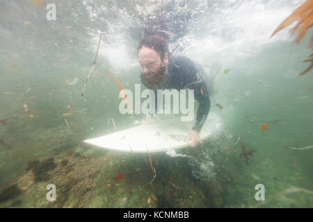 Un surfista nel suo elemento acquoso duck si tuffa nel navigare off della molla isola vicino Kyuquot, Isola di Vancouver, British Columbia, Canada Foto Stock