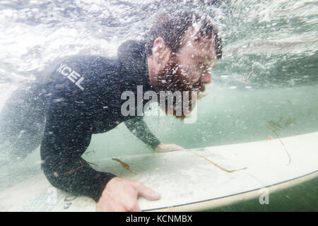 Un surfista nel suo elemento acquoso duck si tuffa nel navigare off della molla isola vicino Kyuquot, Isola di Vancouver, British Columbia, Canada Foto Stock