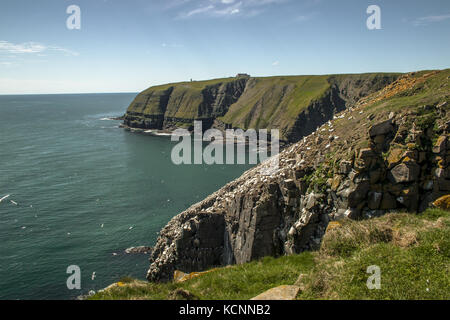Cape Santa Maria della riserva ecologica, situato nei pressi di Cape Santa Maria sulla Riva del Capo, sul sud-ovest Penisola di Avalon di Terranova e Labrador Foto Stock