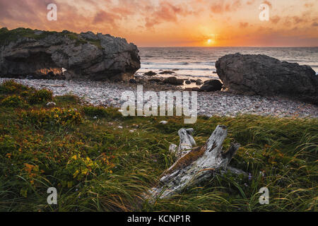 Tramonto attraverso gli archi di pietra calcarea formazione di roccia, gli archi Parco Provinciale, Great Northern Penenusla, Terranova e Labrador Foto Stock