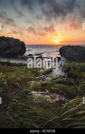 Tramonto attraverso gli archi di pietra calcarea formazione di roccia, gli archi Parco Provinciale, Great Northern Penenusla, Terranova e Labrador Foto Stock