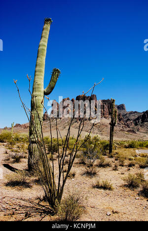 Saguaro e ocotillo cactus crescere dalla superstizione montagne nel deserto dell'Arizona vicino a Tucson Foto Stock