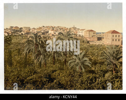 Dal giardino, Jaffa, Terra Santa, (es. Israele) LCCN2002724991 Foto Stock