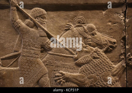 Caccia ashurbanipal lion. rilievo. neo-assiri. palace, Ninive, Irak. 645-635 A.C. British museum. Londra. Foto Stock