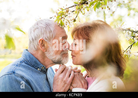 Coppia senior in amore fuori in primavera la natura baciare. Foto Stock