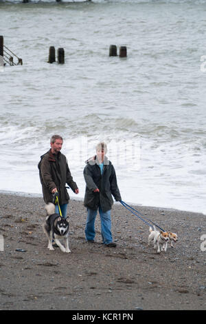 Aberystwyth Wales UK, sabato 07 ottobre 2017 uk meteo: gente camminare i loro cani lungo la spiaggia su una torbida e breezy pomeriggio autunnale in aberystwyth wales Photo credit: keith morris/alamy live news Foto Stock