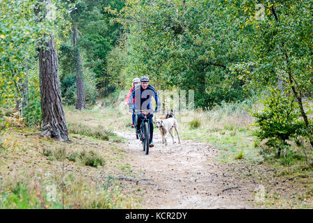 Mare collina comune, witley. 07 ott 2017. uk meteo. blustery autunnale di condizioni su home counties oggi. mare comune di collina vicino a Godalming in Surrey. Credito: James jagger/alamy live news Foto Stock