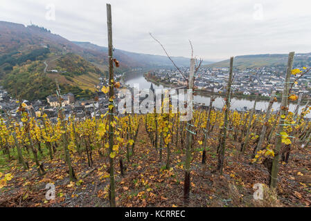 Settore vitivinicolo tedesco: vecchie vigne a Bernkasteler Doctor, Bernkastel-Kues, Mosel, Germania Foto Stock