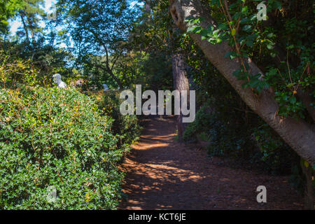 La terra, la natura di dominio, Virginia Beach, Virginia Foto Stock