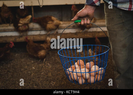 L'agricoltore che detiene la benna di uova in fattoria Foto Stock