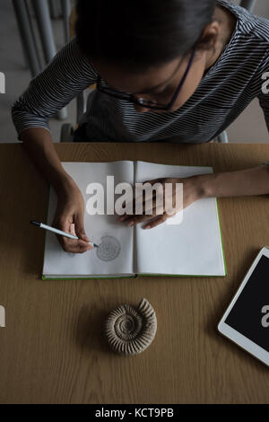 Sovraccarico di donna disegno schema della shell in un libro Foto Stock
