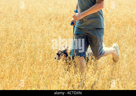 Un uomo con un cane al guinzaglio corre attraverso il campo di avena in estate Foto Stock