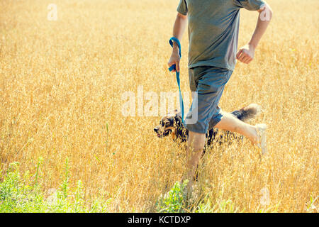 Un uomo con un cane al guinzaglio corre attraverso il campo di avena in estate Foto Stock