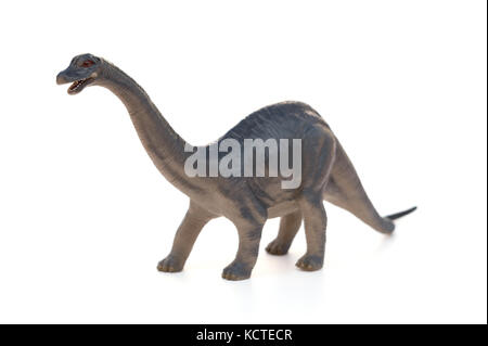 Diplodocus toy su sfondo bianco Foto Stock