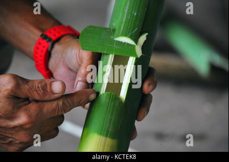 Campo di sopravvivenza DELLA PESTE, Subic, Filippine: Imparando come cucinare il riso in bambù verde. Foto Stock