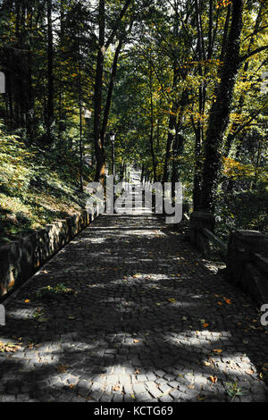 Una prospettiva radicalmente ridotta della bellissima vicolo di Cobblestone circondata da alberi in autunno Foto Stock