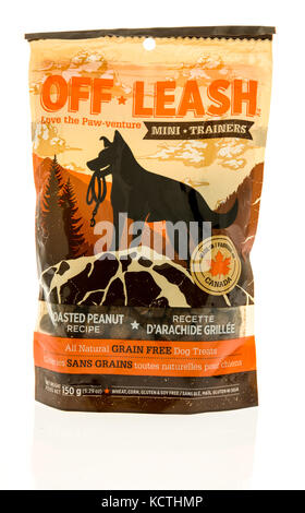 Winneconne, WI - 6 ottobre 2017: Una borsa di Off Leash mini addestratori cane tratta su uno sfondo isolato. Foto Stock