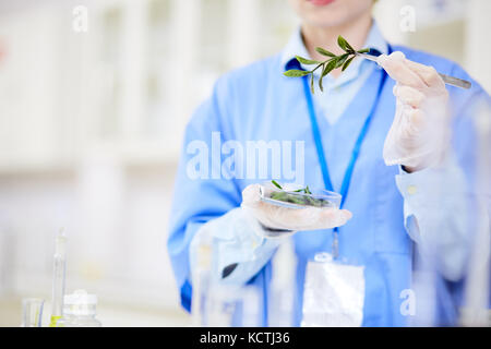 Biologo femmina con capsula di petri Foto Stock