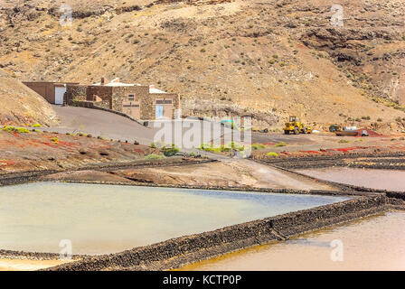 La raffineria di sale di Janubio (Salinas de Janubio) a Lanzarote, Canarie, Spagna. Foto Stock