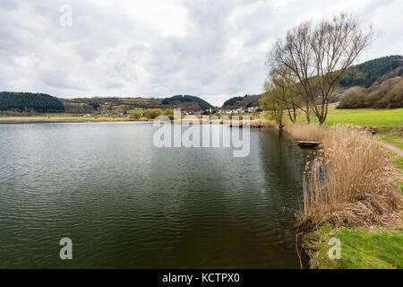 Visualizzare accanto alla riva del meerfelder maar vulcano lago del Eifel, Germania su un nuvoloso giorno di primavera. Foto Stock