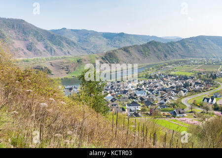 Vista su bremm nella valle della Mosella in primavera, Germania. Foto Stock